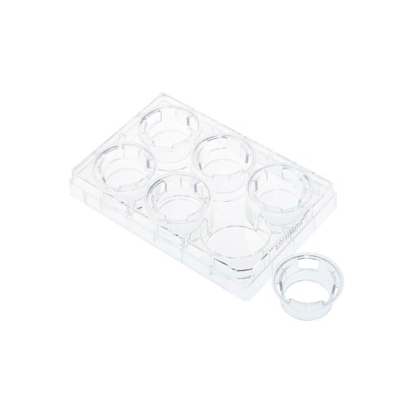 Celltreat CELLTREAT Permeable Cell Culture Inserts, Packed in 6 Well Plate, Hanging, PET, 3.0m, Sterile 230609 - main